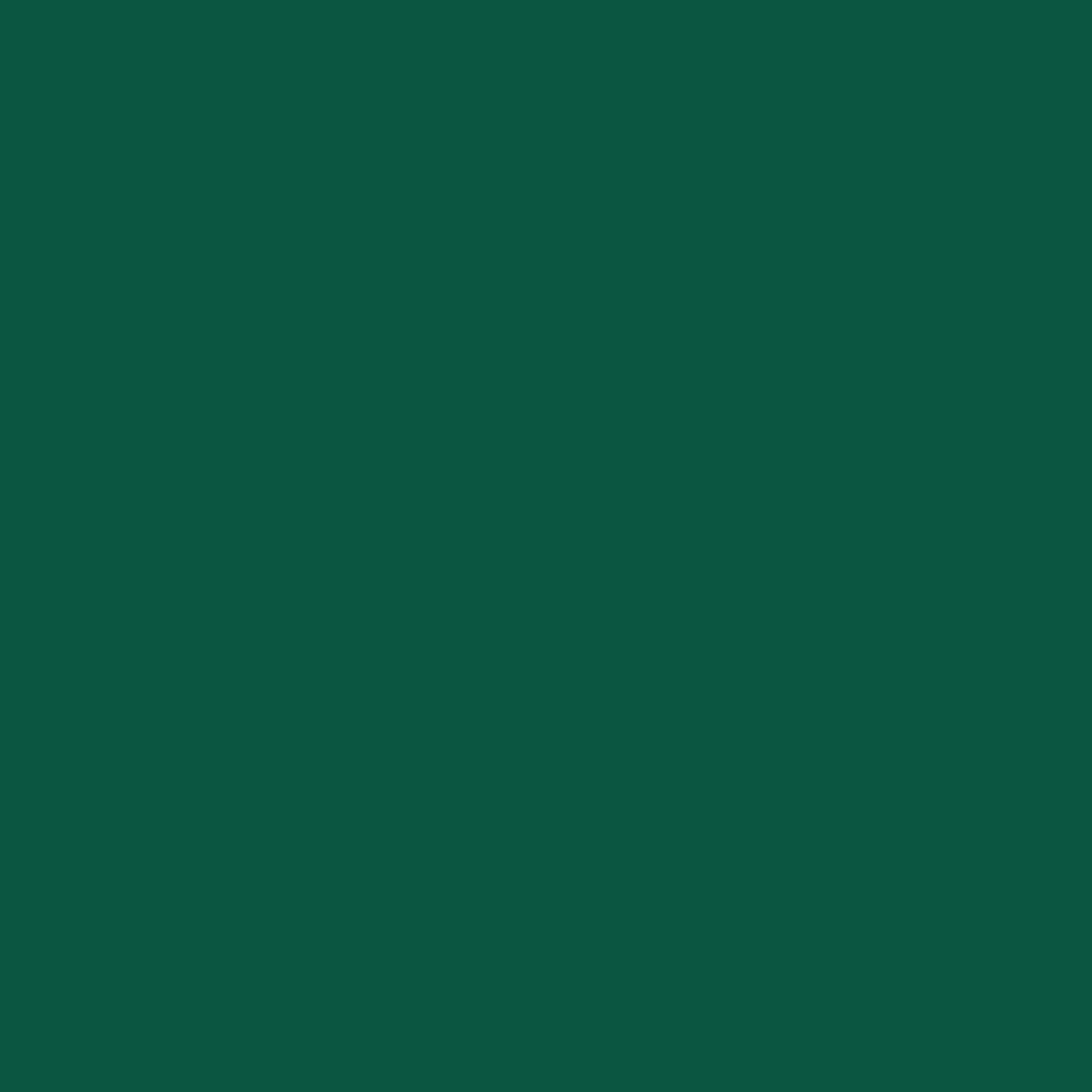 bloc vert