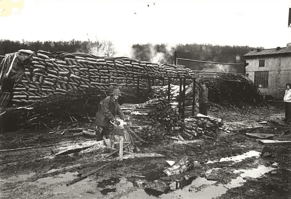 Stères de bois mis à sécher