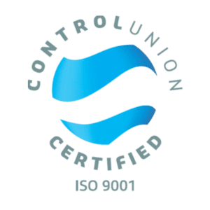 Logo ISO 9001