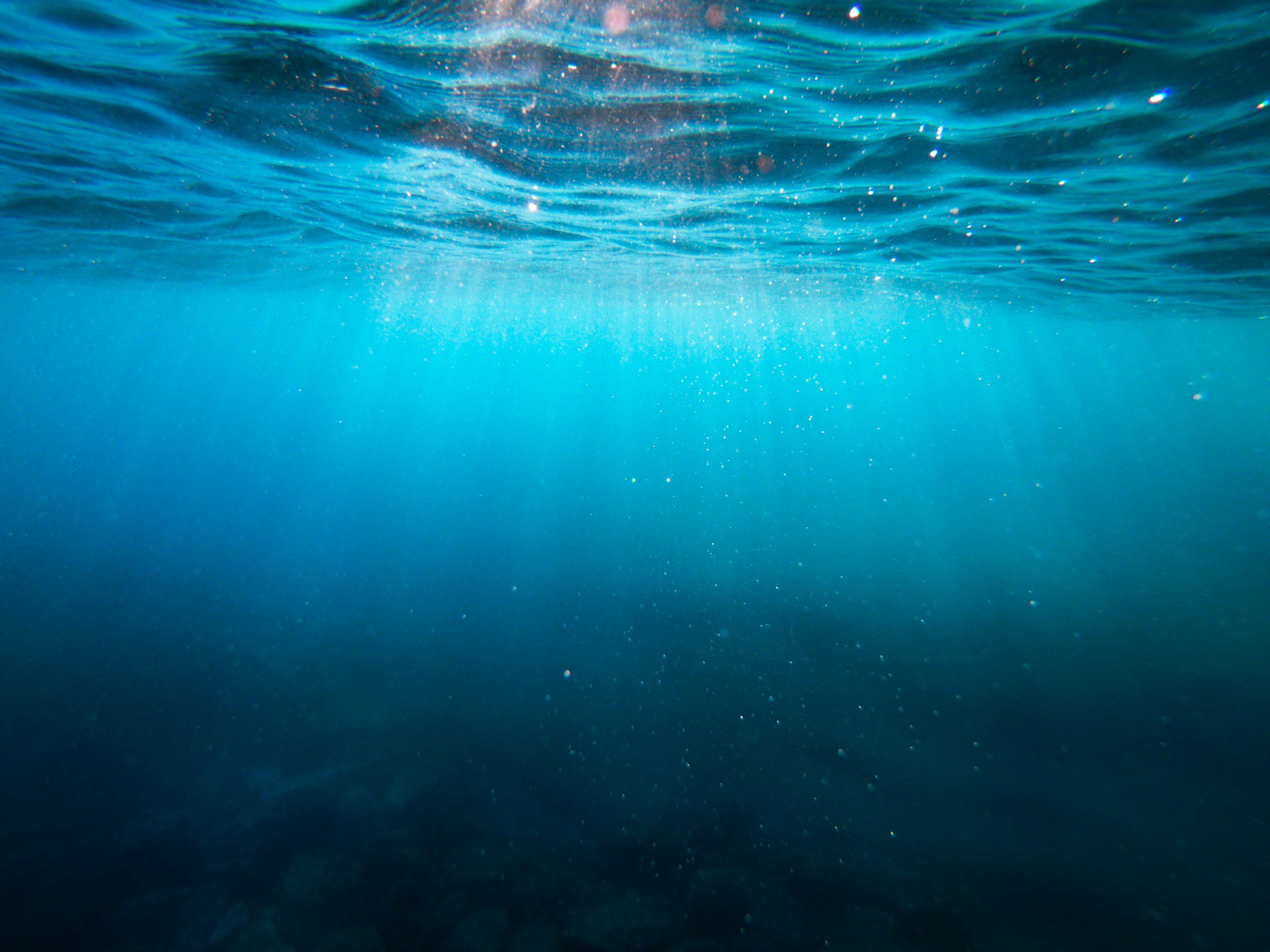 Vue sous marine